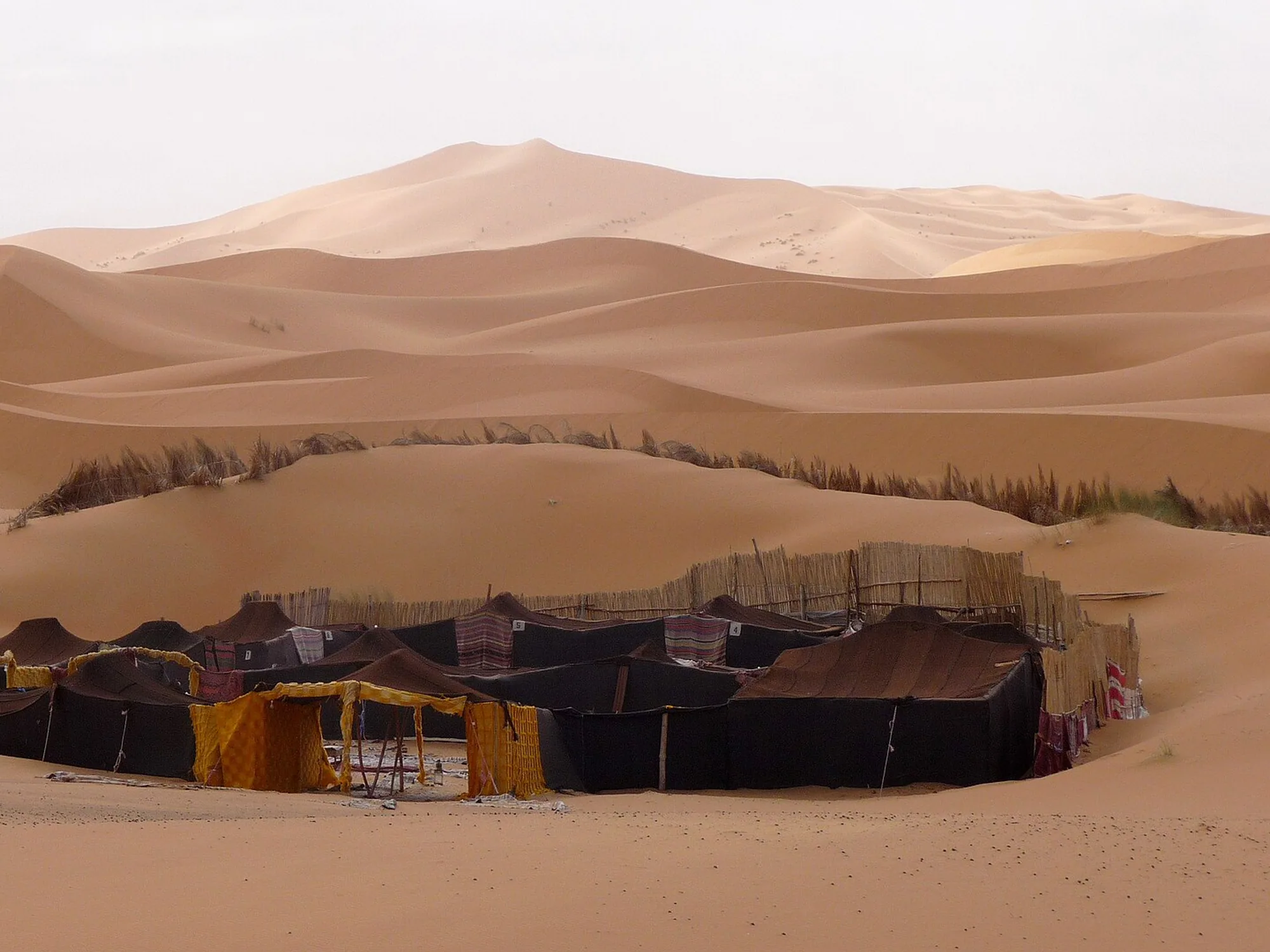 Une nuit dans le désert d'Agafay